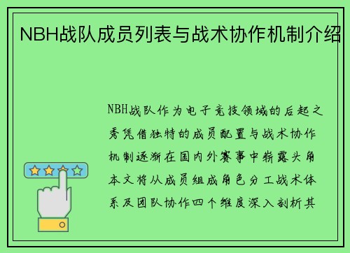NBH战队成员列表与战术协作机制介绍