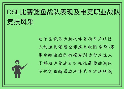 DSL比赛鲶鱼战队表现及电竞职业战队竞技风采